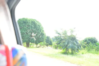 DSC_4639 (Large).JPG